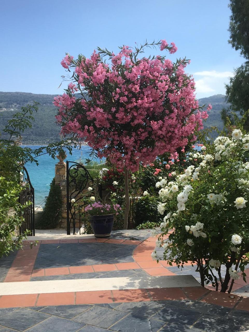 סאמוס Roditses Beach Sea Front Apartments מראה חיצוני תמונה